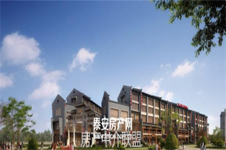 密州繁荣家园138+120平多层电梯附房出售
